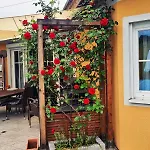 Apartman Sternhaus - Am Kurpark Bad Schallerbach