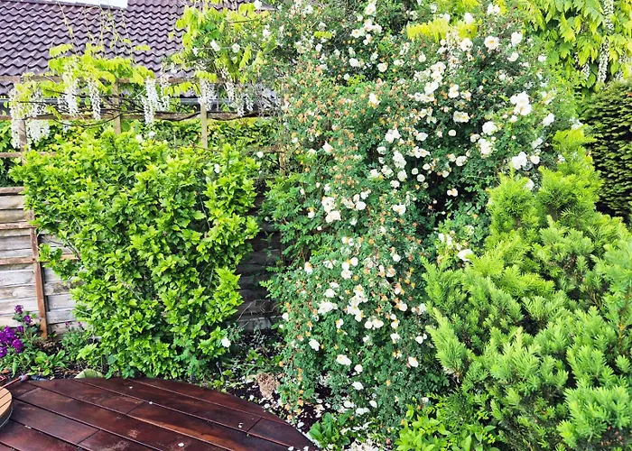 Daire Sternhaus - Am Kurpark *