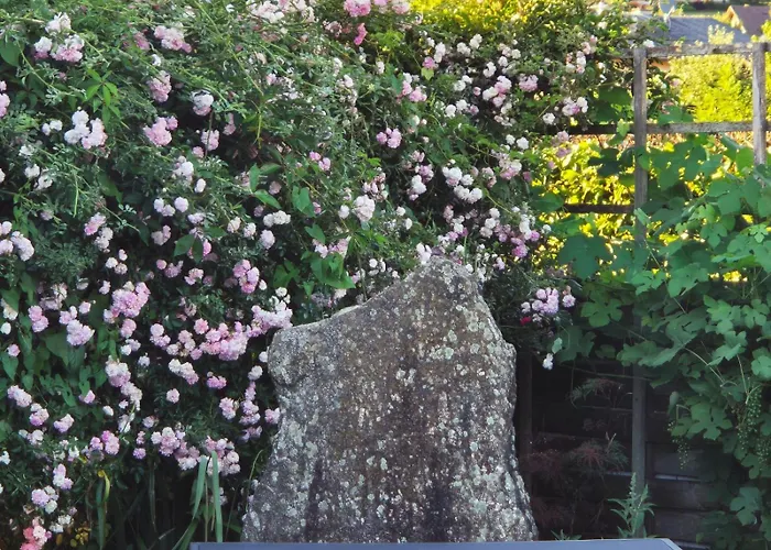 Daire Sternhaus - Am Kurpark Bad Schallerbach