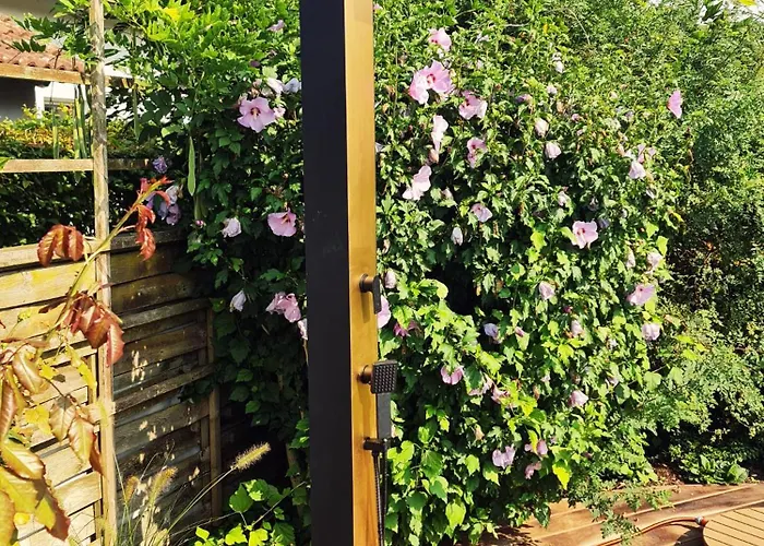 Daire Sternhaus - Am Kurpark