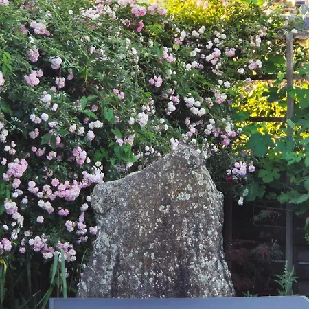 Appartamento Sternhaus - Am Kurpark Bad Schallerbach